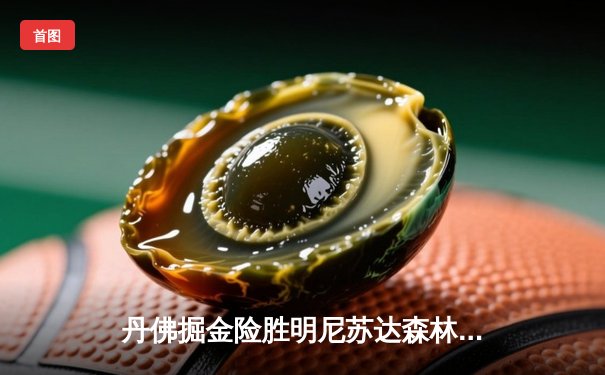 丹佛掘金险胜明尼苏达森林狼，约基奇40分全能表现锁定天王山