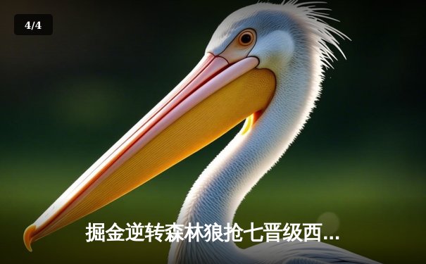 掘金逆转森林狼抢七晋级西决，约基奇40分三双统治攻防 - 4